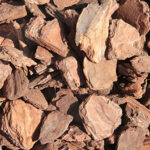 beneficii-scoarta-naturala-pin-mulch_mare